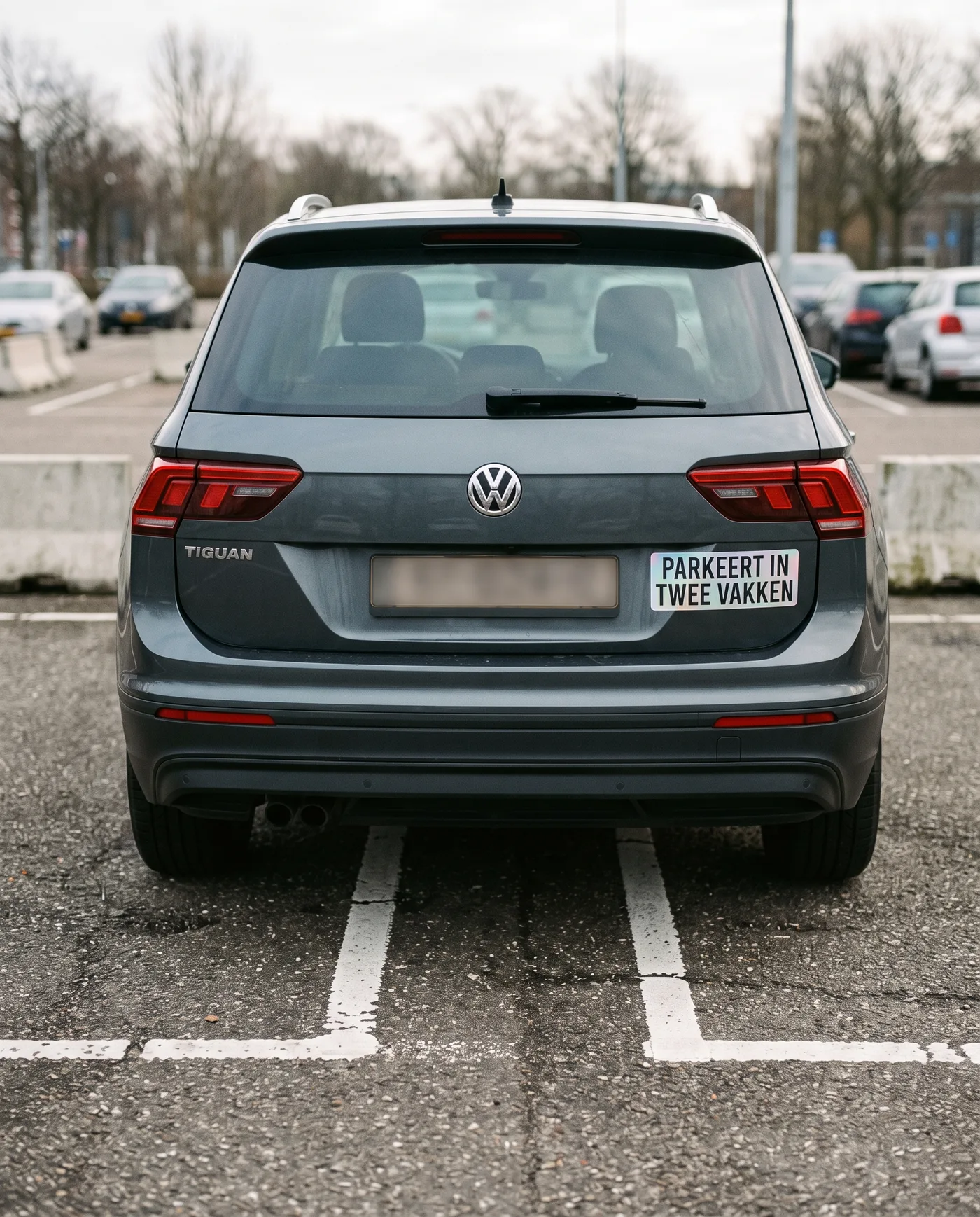 Parkeert in twee vakken, geplakt